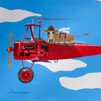 Red Bovine Flight