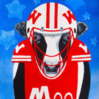 Teach Me How to Bucky